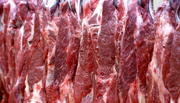  Com impulso em carne bovina, Paraná mantém liderança em exportação de proteínas animais